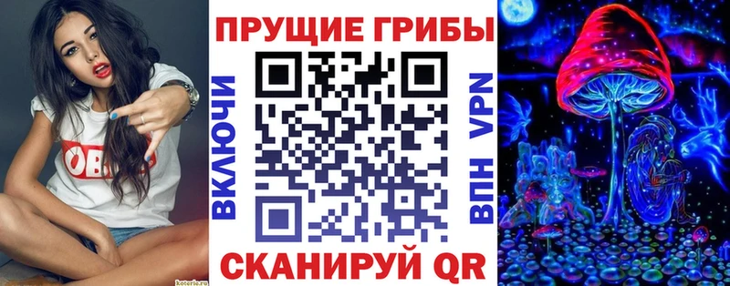 Псилоцибиновые грибы Psilocybe купить закладку Острогожск