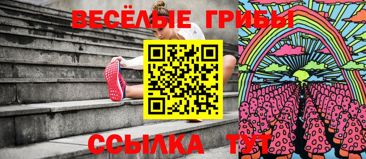 где купить наркотик  Галлюциногенные грибы Cubensis  Вход с VPN  Острогожск 
