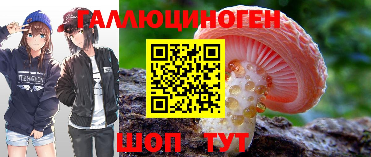 Галлюциногенные грибы Cubensis Острогожск
